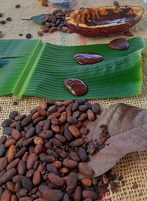 Chocolate Roads - Image 9