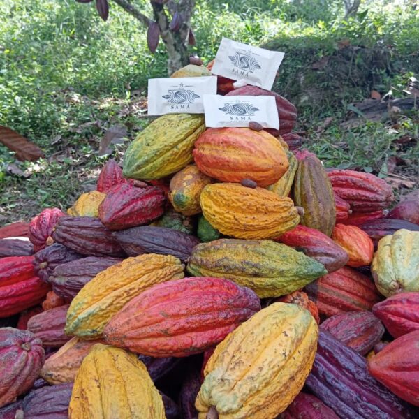Chocolate Roads - Image 8