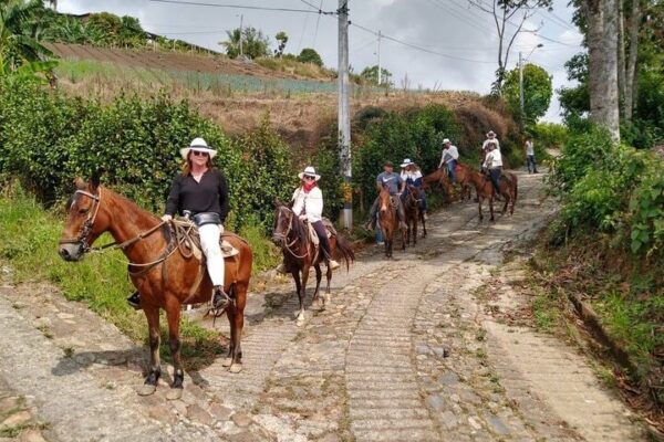 Tour Cabalgata - Image 7